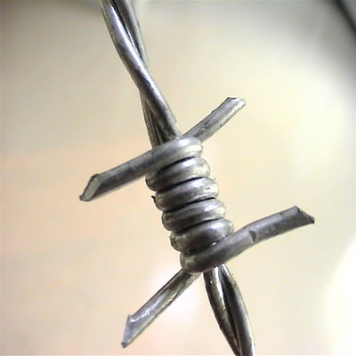Customized Hot Dipped Galvanized Barbed Wire Fence with Stainless Steel Material