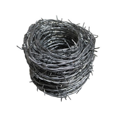 Customized Galvanized and Powder Coated Razor Wire Fence for Residential Protection
